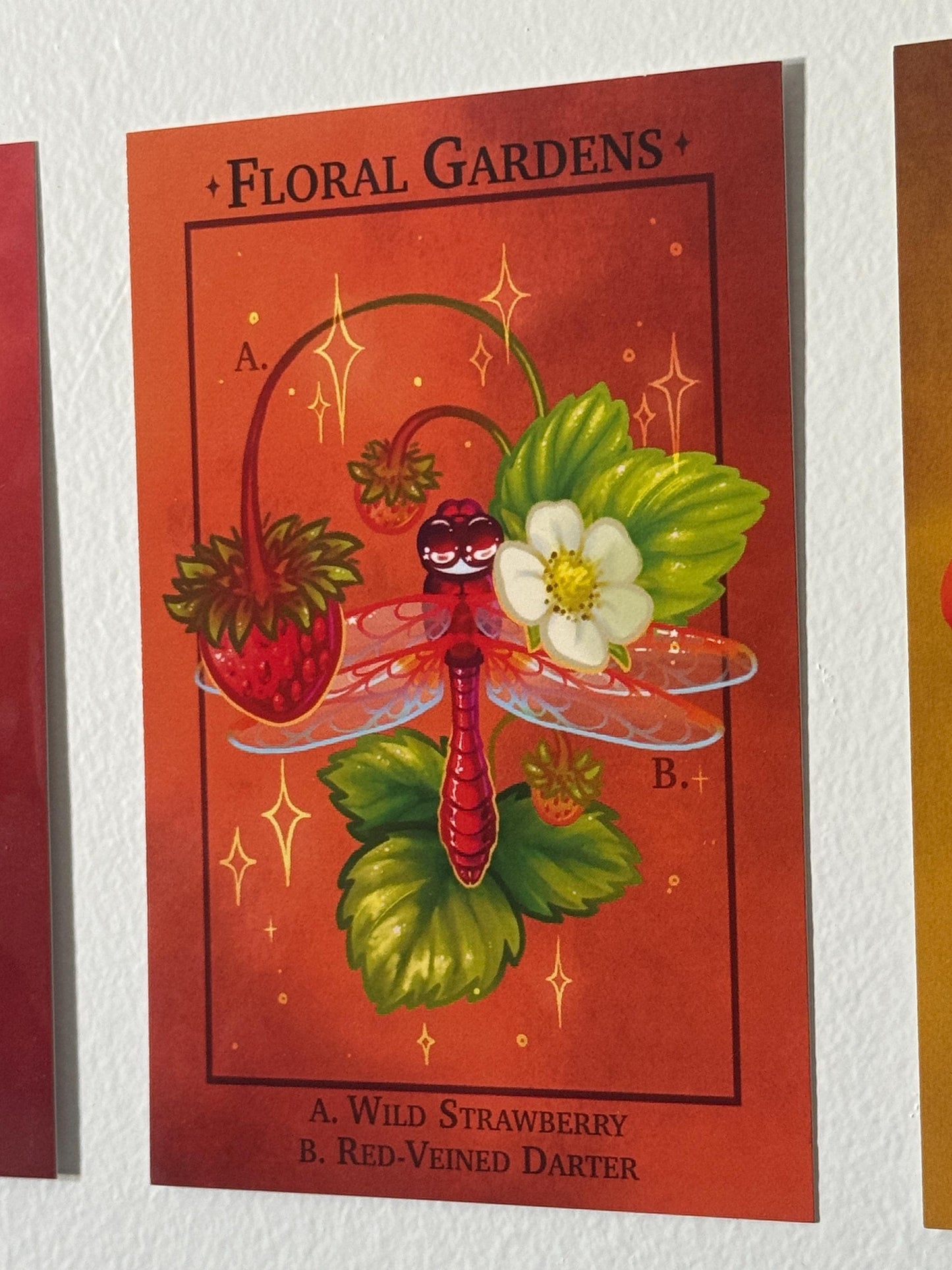 Nature Art Print - Floral Gardens - Strawberry and Dragonfly